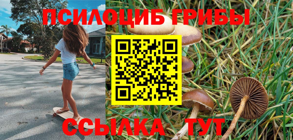 Галлюциногенные грибы Magic Shrooms Семилуки