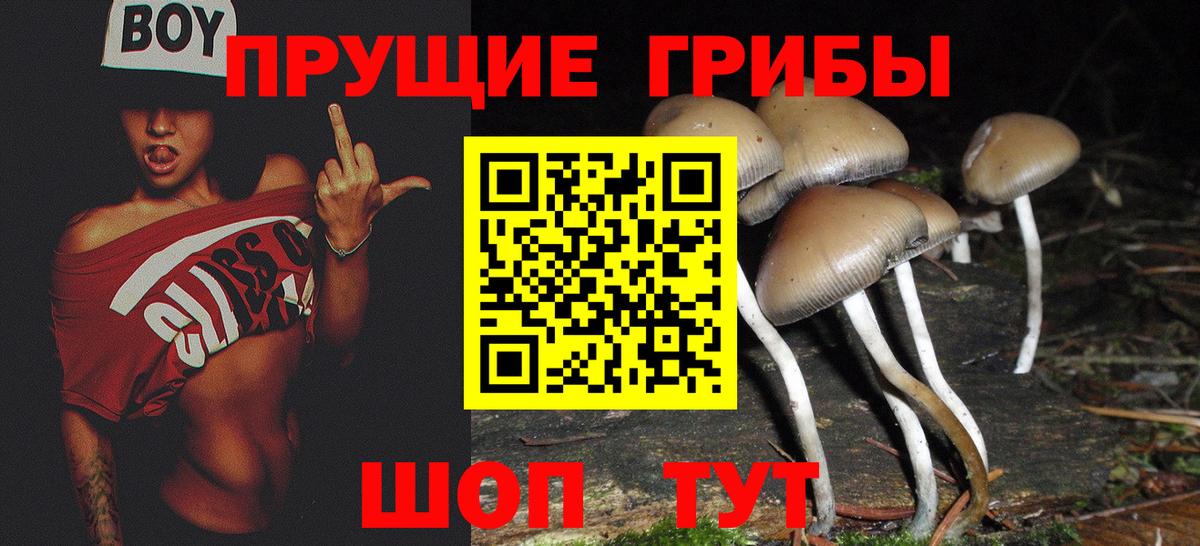 Семилуки  Псилоцибиновые грибы прущие грибы  Вход с VPN 
